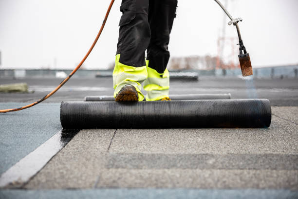 Best Storm Damage Roof Repair  in Shamokin, PA