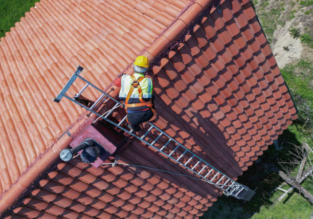 Best Skylight Installation and Repair  in Shamokin, PA